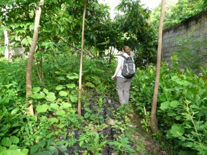 Researching chocolate production for THE BITTER SIDE OF SWEET