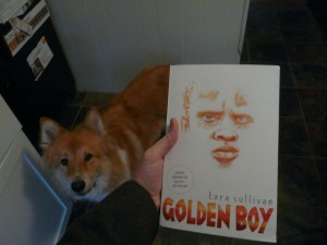 But they sure LOOK like books! (and feel like books... and smell like books...)